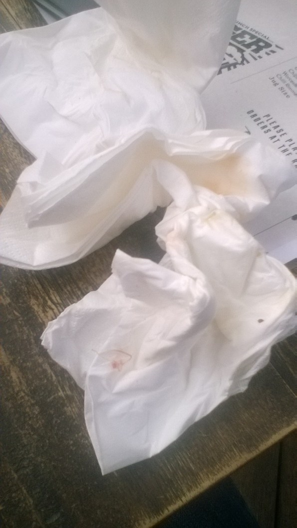 WP_20160429_12_45_18_Pro