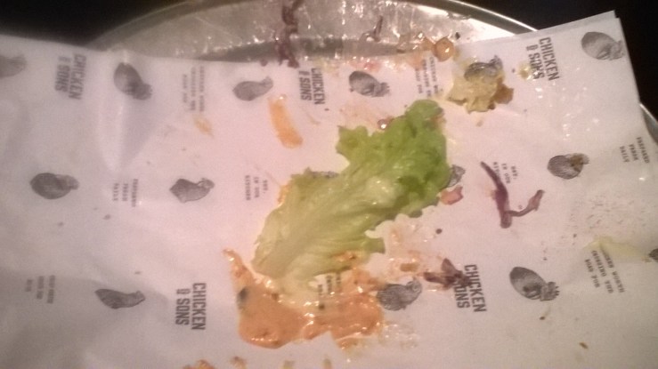 WP_20160528_13_02_46_Pro