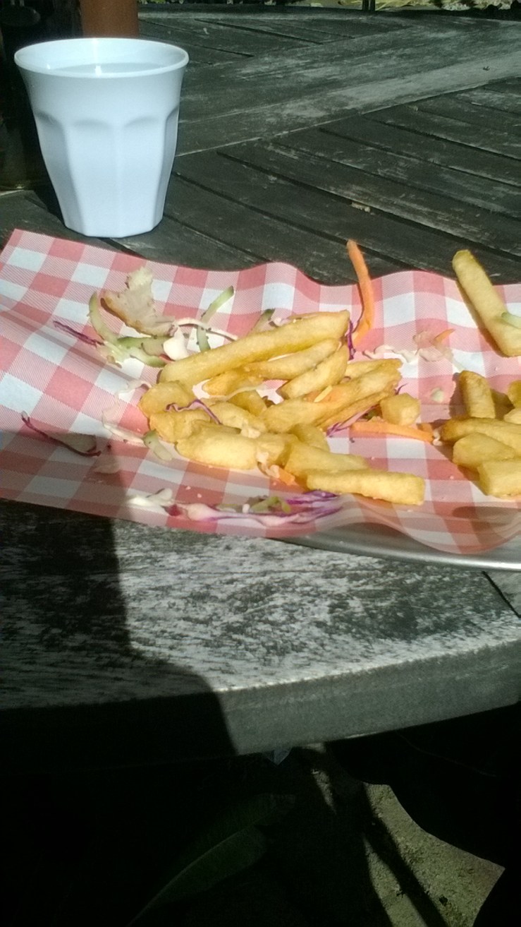 WP_20160702_12_33_16_Pro