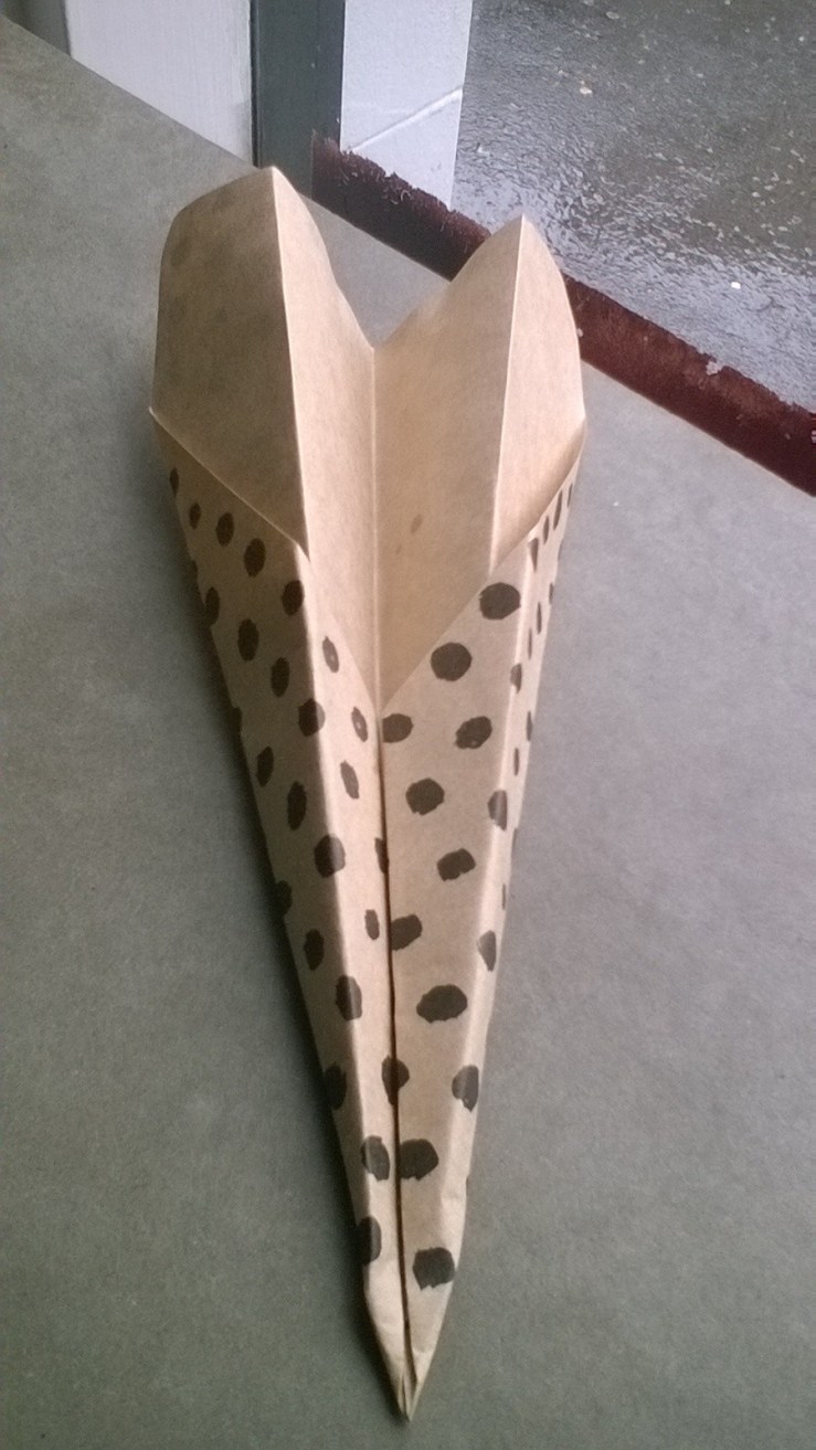 WP_20160720_13_59_49_Pro